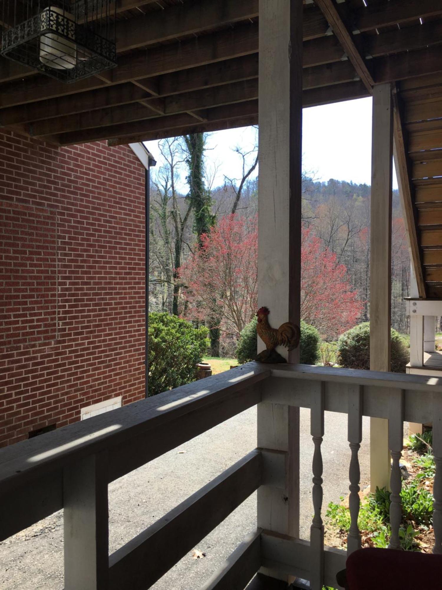 Grafton Lodge Lake Lure Exterior foto